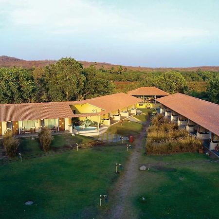 Asiatic Lion Lodge Sasan Gir Eksteriør billede