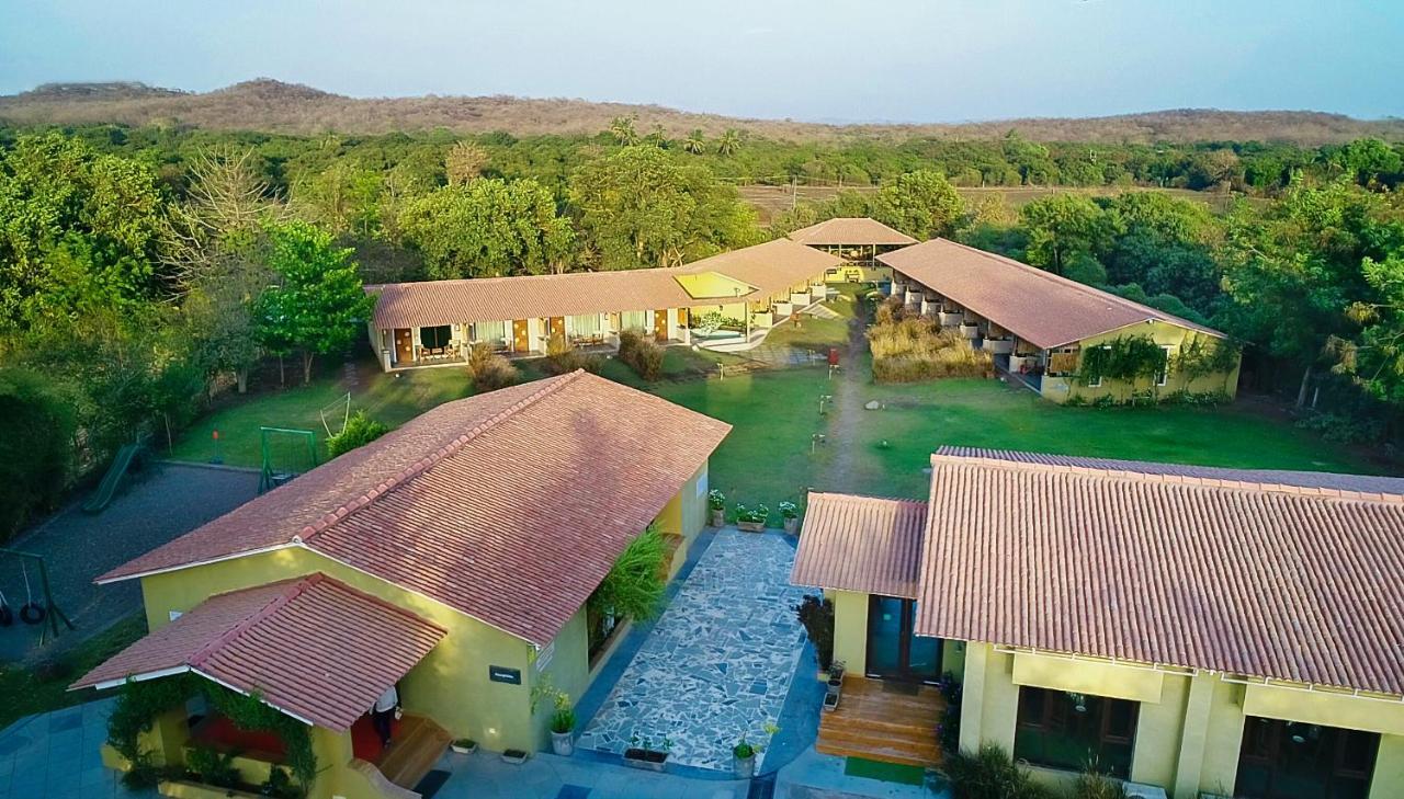 Asiatic Lion Lodge Sasan Gir Eksteriør billede