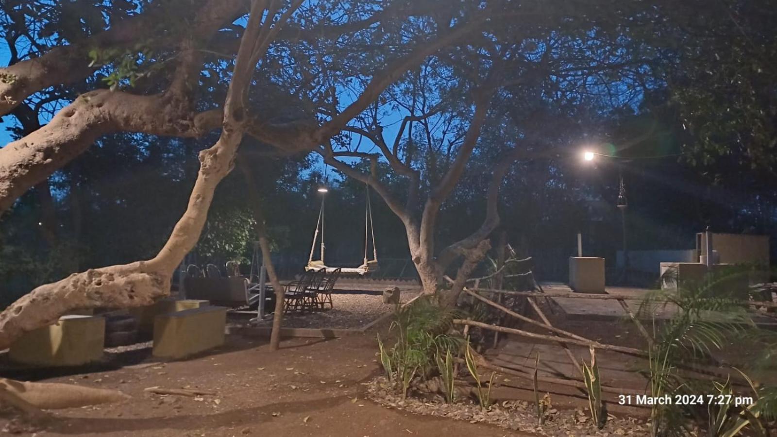 Asiatic Lion Lodge Sasan Gir Eksteriør billede