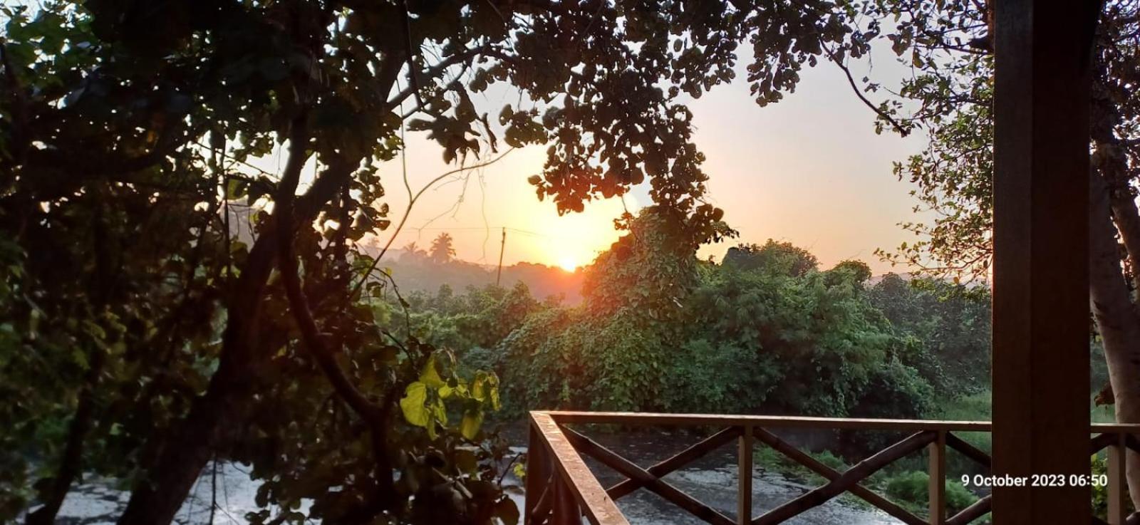 Asiatic Lion Lodge Sasan Gir Eksteriør billede